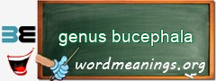 WordMeaning blackboard for genus bucephala